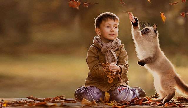 little boy and cat standing on hind legs